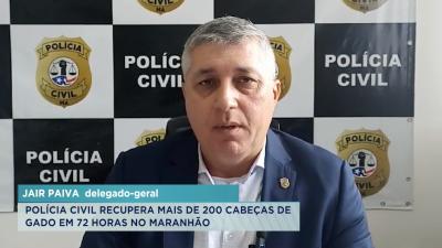 Polícia recupera mais de 200 cabeças de gado subtraídas ilegalmente por uma quadrilha no MA