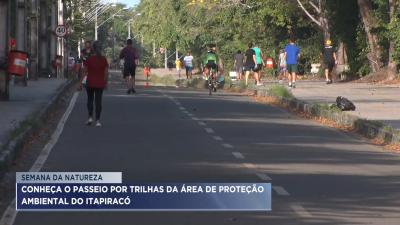 APA do Itapiracó oferece passeio por trilhas na área de conservação