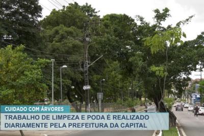 São Luís: trabalho de limpeza e poda é realizada diariamente pela prefeitura 