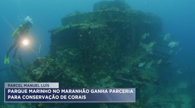 Parque marinho no Maranhão ganha parceria para conservação de corais