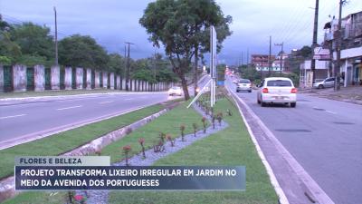 Projeto transforma lixeiro irregular em jardim na Avenida dos Portugueses
