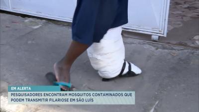 Casos de filariose podem estar ressurgindo no Maranhão