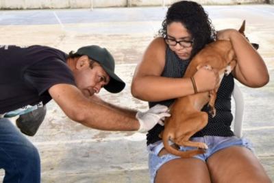 Itaqui-Bacanga e Vila Esperança recebem campanha de vacinação animal no sábado (25)