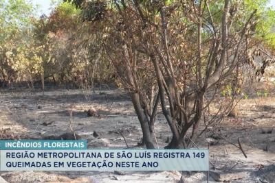MA é o quarto Estado do Brasil com maior foco de queimadas, aponta INPE