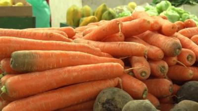 Legumes e hortaliças tem queda de preços em São Luís