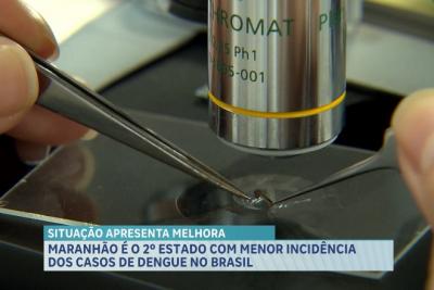 Maranhão é o 2°Estado do país com menor incidência dos casos de dengue