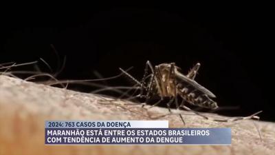 MA está entre os Estados brasileiros com tendência de aumento nos casos da dengue