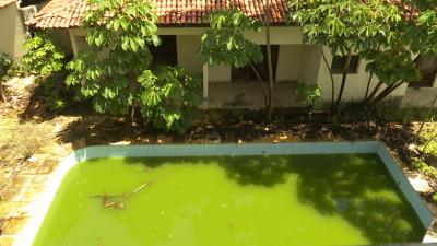 Casa abandonada com piscina está servindo de focos do mosquito da dengue, em São Luís