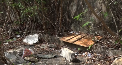 Lixo e mato invadem calçadas da Rua 46, no bairro da Areinha, em São Luís