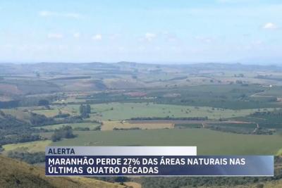 Maranhão perde quase 30% de áreas naturais nos últimos 40 anos