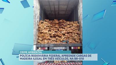 PRF apreende carregamentos ilegais de madeira nativa do Maranhão