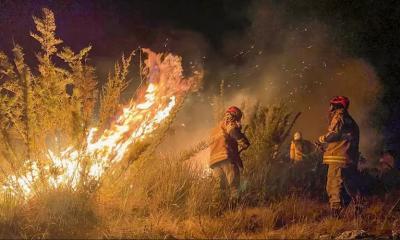 Governo cria comitê com 11 ministérios para acelerar combate a incêndios no país