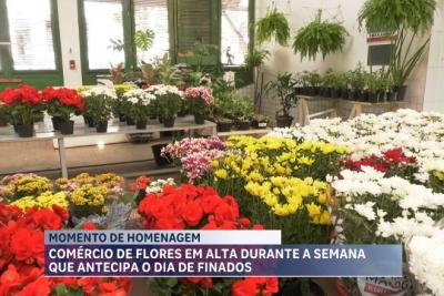 Comércio de flores em alta durante a semana que antecipa o Dia de Finados