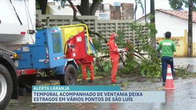 Chuva e vento fortes derrubam muro e árvores em São Luís