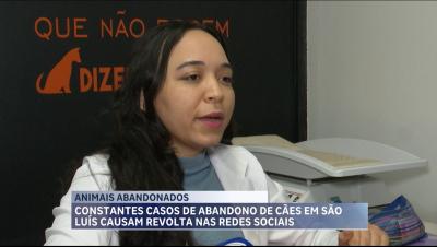 Saiba como agir em casos de flagrantes de abandono de animais