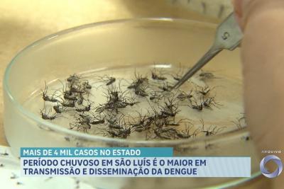 Período chuvoso em São Luís é o período com maior transmissão da dengue