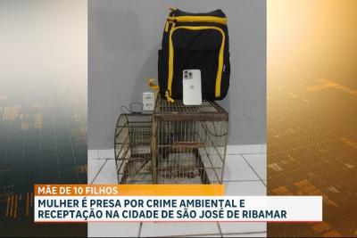 Em Ribamar, Polícia Civil prende suspeita de receptação e crime ambiental