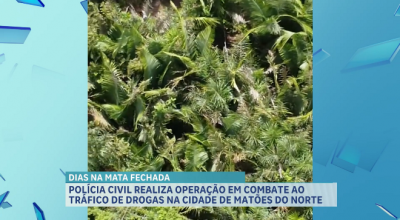 Polícia realiza operação em mata fechada de Matões do Norte e suspeitos de tráfico são detidos