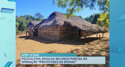 Polícia Civil divulga balanço parcial da operação “Protetores dos Biomas”