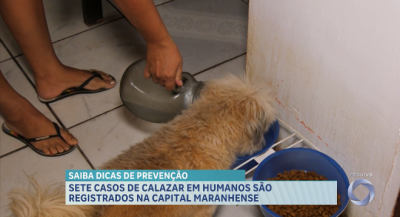 Sete casos de calazar em humanos são registrados em São Luís