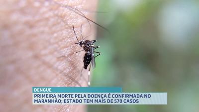 Maranhão registra primeira morte por dengue em 2024