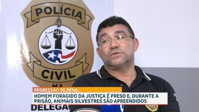 Polícia recaptura foragido do sistema penal e apreende pássaros em São José de Ribamar
