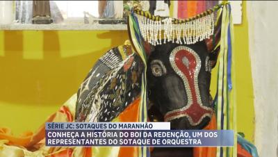Série JC: Boi da Redenção é um dos representantes do sotaque de orquestra no Maranhão