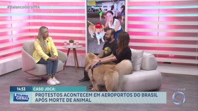 Vem Comigo: defensor da causa animal fala sobre cão que morreu no Aeroporto de Guarulhos