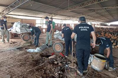 Polícia incinera 1,5 toneladas de drogas apreendidas em 2023 no MA