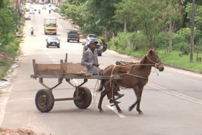 Prefeitura de São Luís deve acabar com transporte de carroça em dois anos