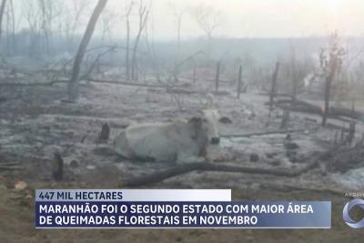 Maranhão é o segundo estado com maior área queimada em novembro, aponta MapBiomas