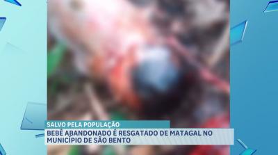 Recém-nascido é abandonado em área de mato no povoado Azeitão, na baixada maranhense