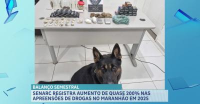 Apreensões de drogas no MA crescem quase 200% em relação ao ano passado