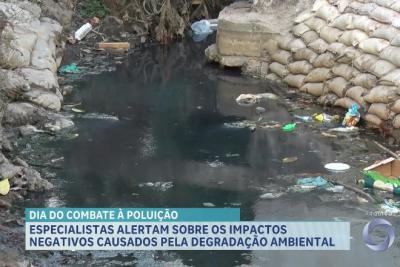 Dia de Combate à Poluição reforça importância de ações para um futuro sustentável