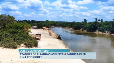 Praia em Nina Rodrigues é interditada pós ataques de piranhas a banhistas