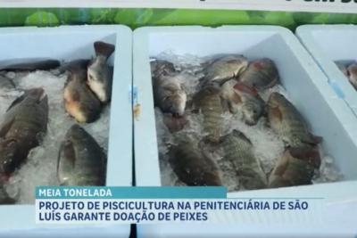 Agro Record: Peixes de projeto social ajudam famílias carentes