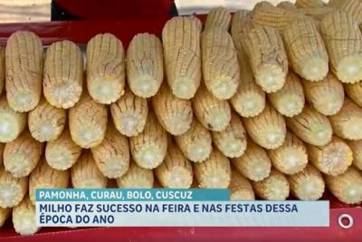 Agro Record: junho tem barracas movimentadas, inspeções da AGED e panorama da soja