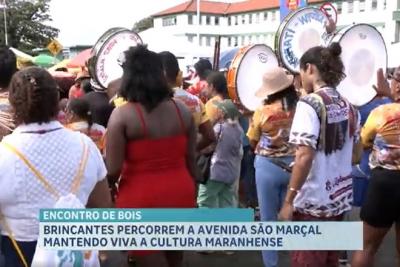 Festejo de São Marçal encerra temporada junina com tradição e bumba-meu-boi em São Luís