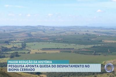 Desmatamento no Cerrado cai mais de 20% e Maranhão registra maior redução histórica