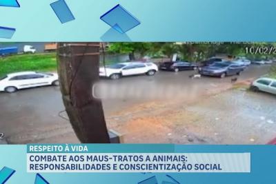 Combate aos maus-tratos a animais: responsabilidades e conscientização social