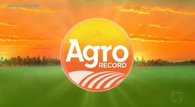 Agro Record: programa destaca competição de jovens touros e debate sobre tecnologia no campo