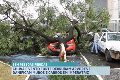 Chuva e ventania causam queda de árvores e danos a carros e muros em Imperatriz