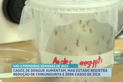 Casos de dengue aumentam, mas estado registra redução de chikungunya e zera casos de zica vírus