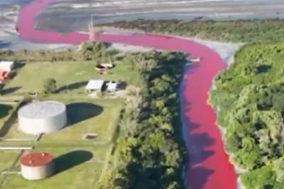 Água de riacho na Argentina fica vermelha e assusta moradores