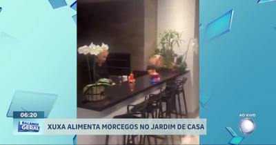 Xuxa alimenta morcegos no quintal de casa e causa polêmica