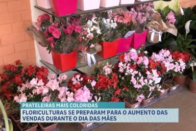 Dia das Mães: venda de flores deve impulsionar lucros