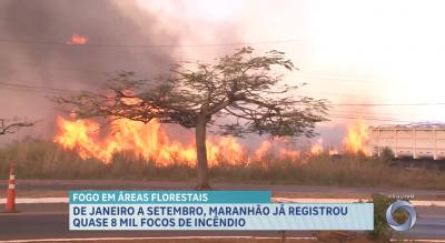 MA registrou mais de 7.600 focos de incêndio de janeiro a setembro deste ano