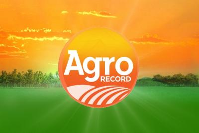 Agro Record: produção de mel em Paço do Lumiar impulsiona economia na Região Metropolitana de São Luís