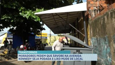 Moradores denunciam riscos com árvore e reclamam de odor de lixeira na Avenida Kennedy