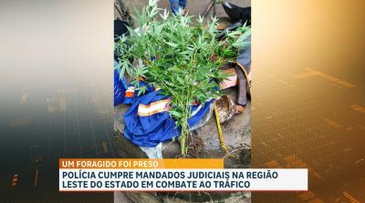 Polícia prende suspeitos e apreende armas e drogas em operação em Parnarama e Matões